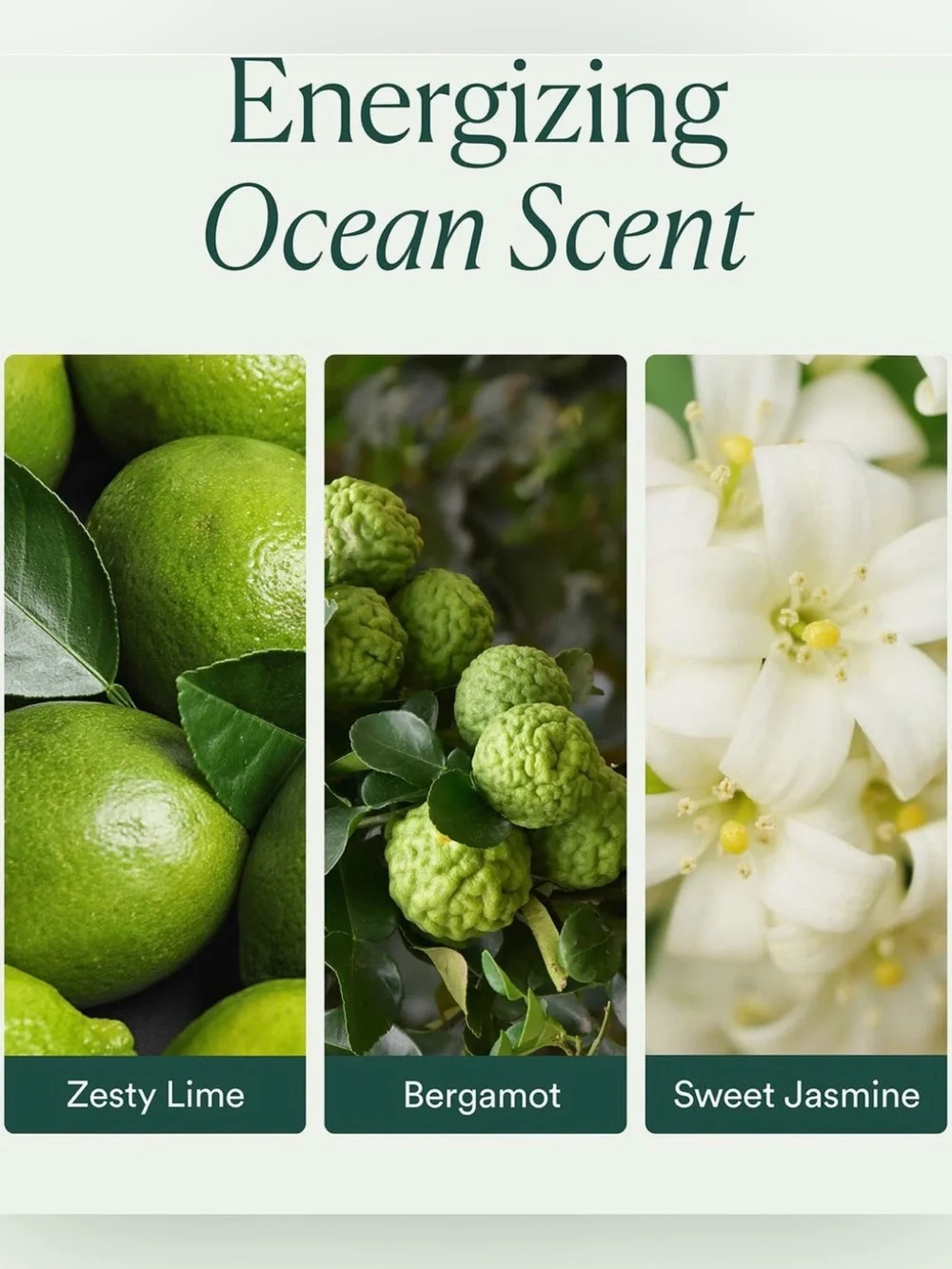 OSEA Ocean Cleanser & Seabiotic Water Cream (travel size)